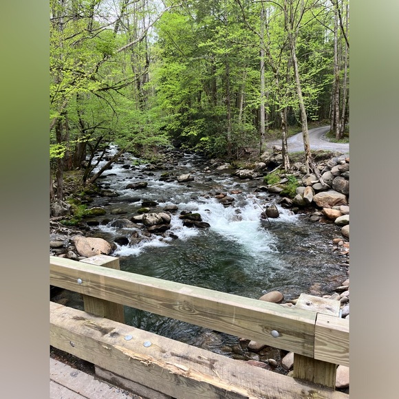 🪩✨ - Picture 3 of 4